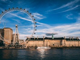 英国古代牧羊犬怎么样，好饲养吗